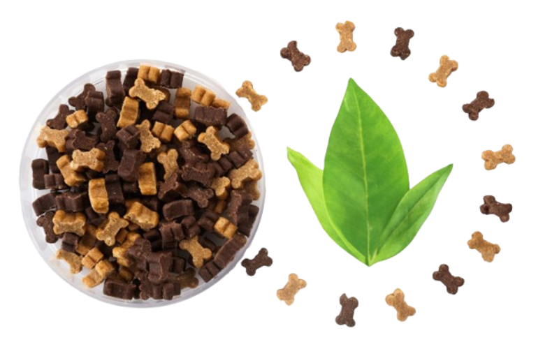 Alimenti biologici per animali